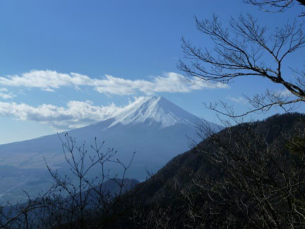 愛染明王塔から見た富士山の画像