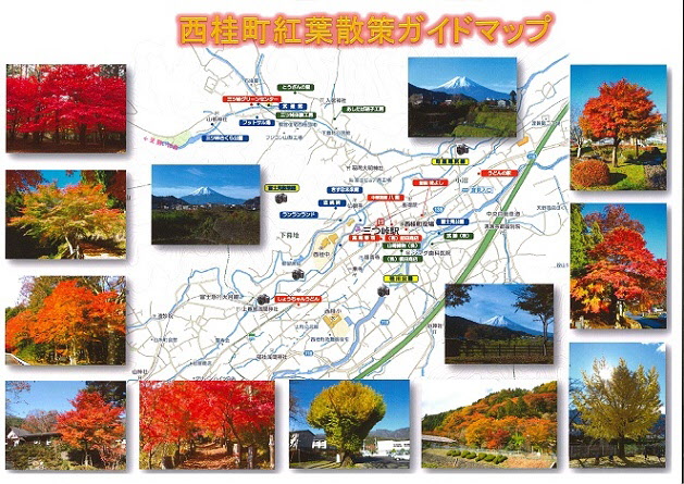 西桂町紅葉散策ガイドマップ
