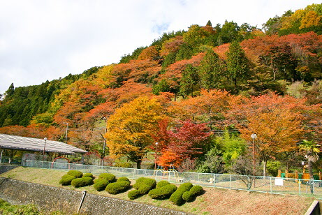 ランランランドの画像