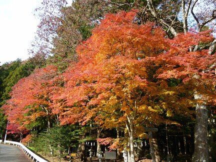 山祇神社の画像