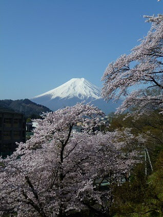 忠魂碑の桜と富士山