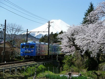 桜の画像7