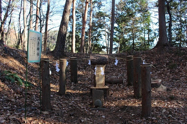 丸子神社の画像