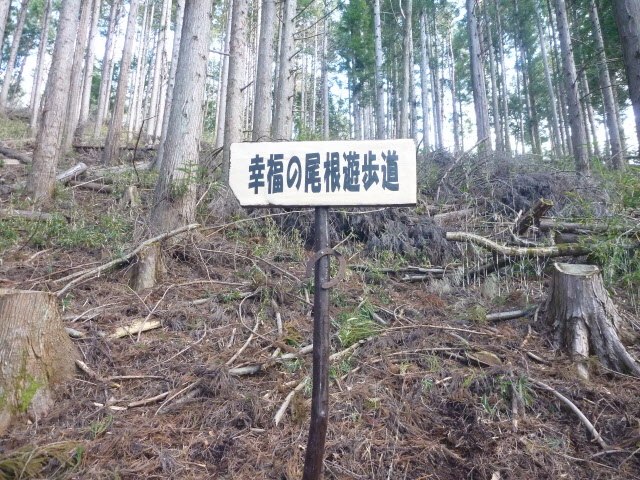 幸福の尾根遊歩道の画像