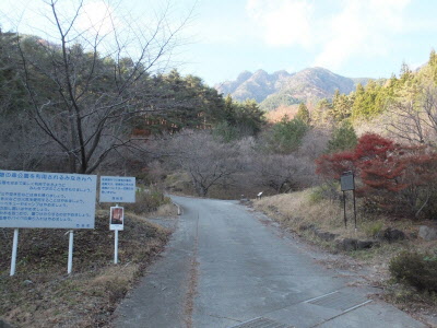 憩の森公園の画像