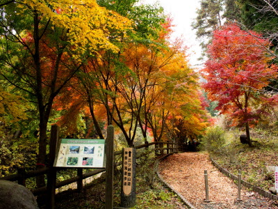 神鈴の滝遊歩道の写真
