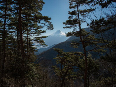 馬返しの写真