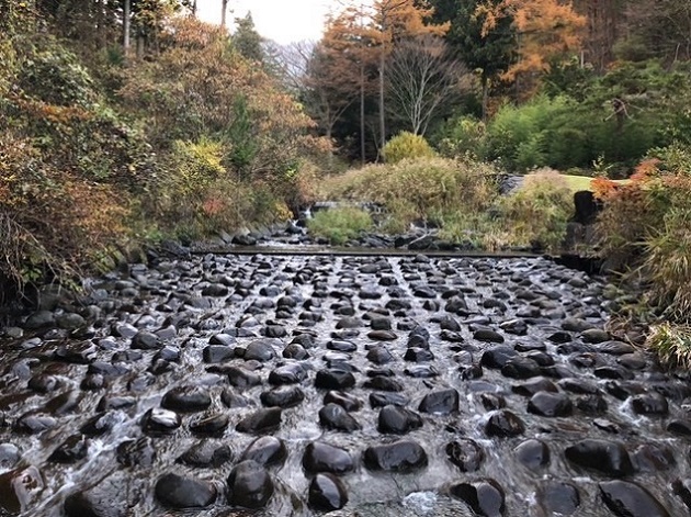 三ツ峠さくら公園の園内画像