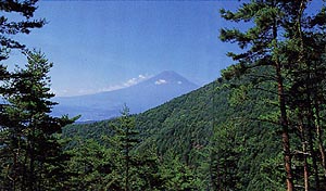 股のぞきから見た富士山の画像