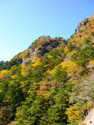 山頂の写真