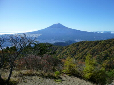 富士山の写真