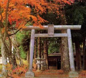 山祇神社の画像