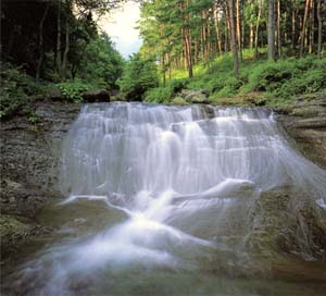 柄杓流川の画像